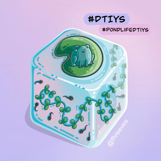 Cube of pond life with frog and tadpoles