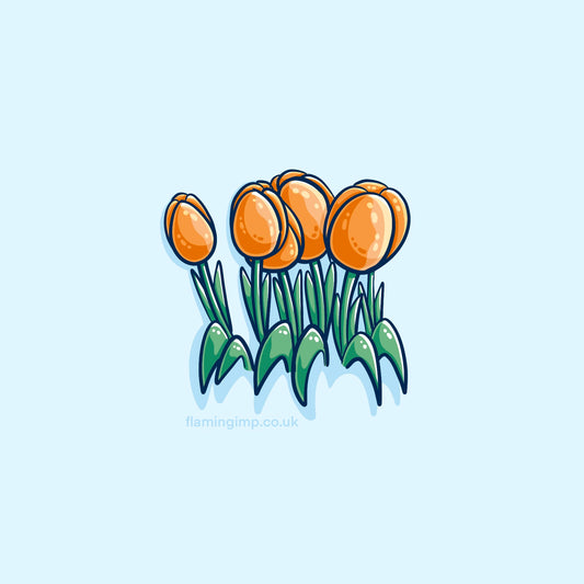 A clump of orange tulips and their leaves