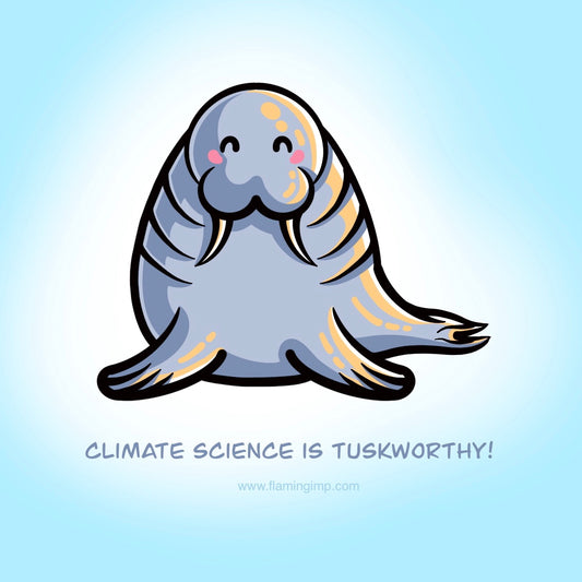 Walrus sketch