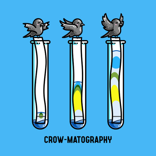 Three cute crows above three test tubes showing a paper chromatography experiment