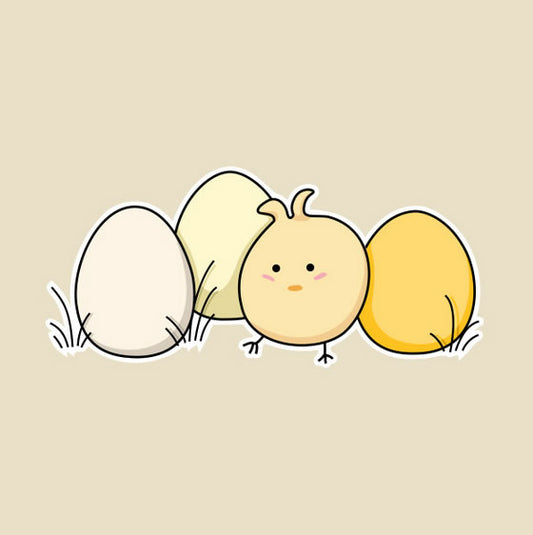 Kawaii Chick And Eggs