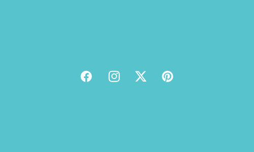 Four small white social media icons in a row against a turquoise background