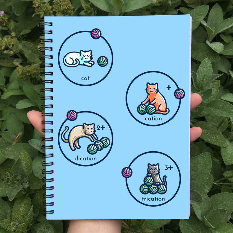 cat, cation, dication and trication represented as cats with balls of wool on a blue spiral notebook being held in a hand