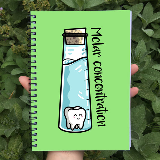 Closed notebook showing green front cover with molar concentration wording and design